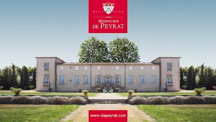 Seigneurie de Peyrat, Vignoble à Pézenas