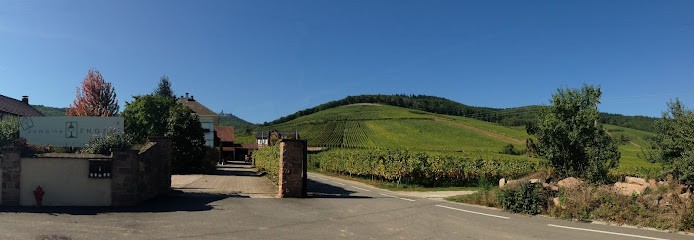 Engel Frères  Domaine viticole en agriculture Biologique, Vignoble à Orschwiller
