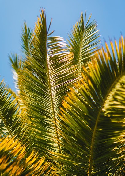 Château SIPIAN, Vignoble à Valeyrac