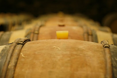 Château De Sassangy, Vignoble à Sassangy