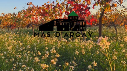 MAS D'ARCAY, Vignoble à Saint-Drézéry