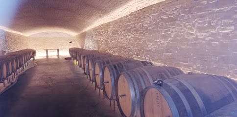 Earl Godon Bernard Et Jerome, Vignoble à Sainte-Gemme-en-Sancerrois