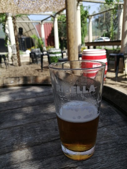 Domaine Pastricciola, Vignoble à Patrimonio