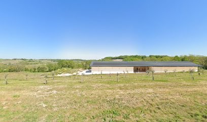 Château Montlandrie, Vignoble à Castillon-la-Bataille