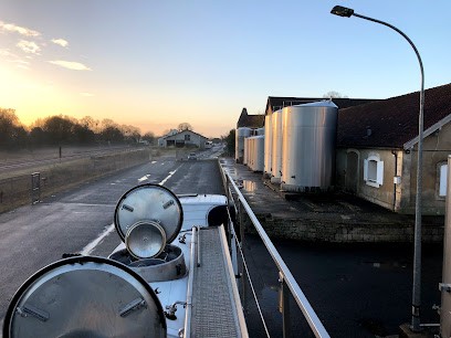 Distilleries Charentaises, Vignoble à Saint-Savinien