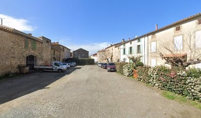Château Festiano, Vignoble à Tourouzelle