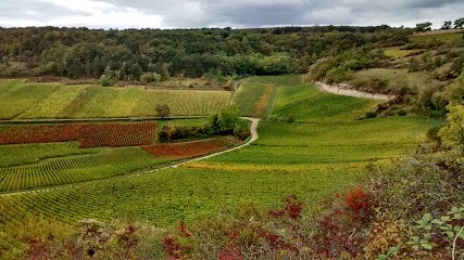 Prudhon Henri, Vignoble à Saint-Aubin