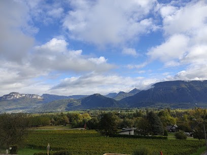 Bétemps Philippe, Vignoble à Apremont