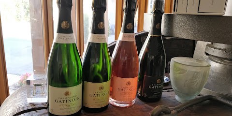 Champagne Gatinois, Vignoble à Aÿ-Champagne