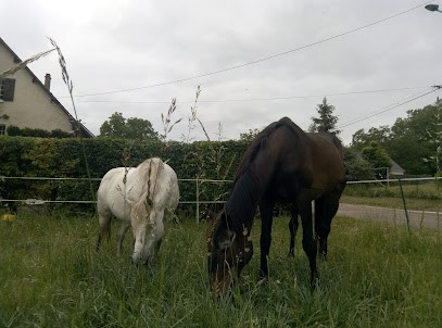 EARL LES COLLINES DE VAUX- Le Domaine d'Edouard, Vignoble à Auxerre