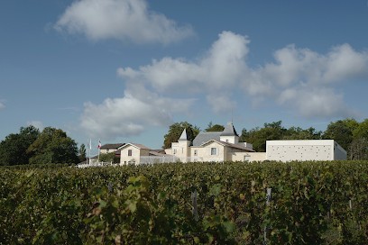 Château Moncets & Château de Chambrun, Vignoble à Néac