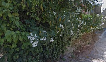 Clos Montemagni, Vignoble à Patrimonio