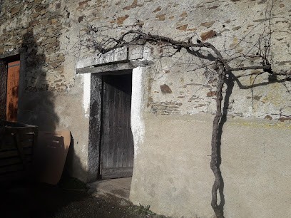 Fèvre Florent Domaine Du Bois Giraud, Vignoble à Saint-Fiacre-sur-Maine