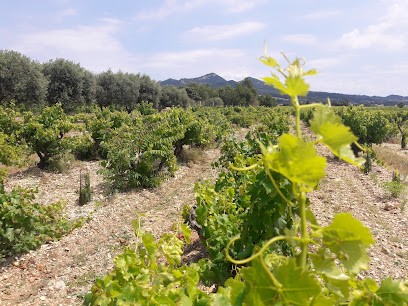 DOMAINE DES FONTNOBLES, Vignoble à Vacqueyras
