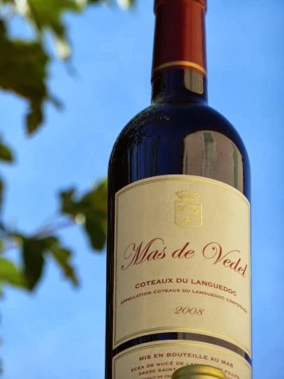 Mas De Vedel, Vignoble à Saint-Pargoire