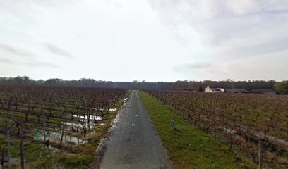 Sce Des Vignobles Cassignard, Vignoble à Vayres