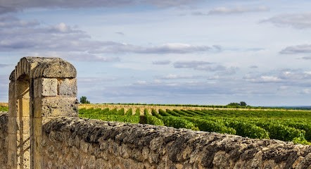 Société DEPRET, Vignoble à Mérignac