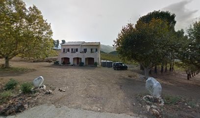 Arena Antoine marie, Vignoble à Patrimonio