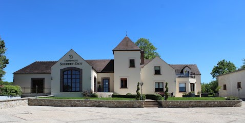 Champagne Sourdet-Diot, Vignoble à Vallées en Champagne