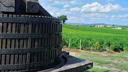Domaine Des Fournelles, Vignoble à Saint-Lager