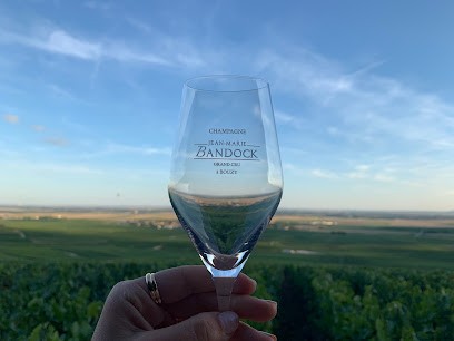 Champagne Jean-Marie Bandock, Vignoble à Bouzy