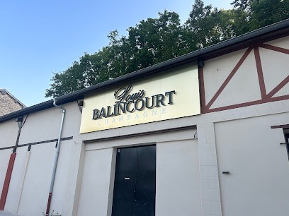 Champagne & Caves LOUIS BALINCOURT, Vignoble à Châlons-en-Champagne