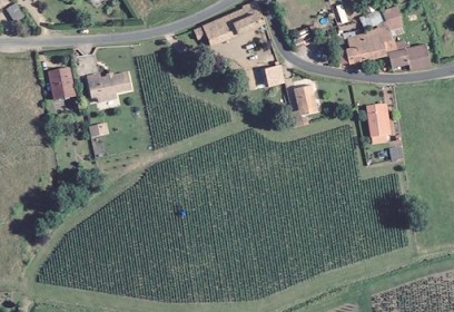 Clos Lardière, Vignoble à Saint-Sulpice-de-Faleyrens