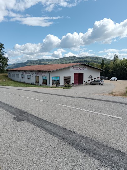 Caveau Quinard, Vignoble à Massignieu-de-Rives