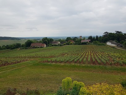Domaine Tupinier Bautista, Vignoble à Mercurey