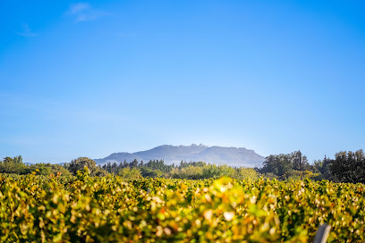 Domaine Brunely Vignoble à Sarrians