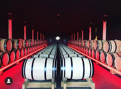 Château Destieux, Vignobles Dauriac, Vignoble à Saint-Hippolyte