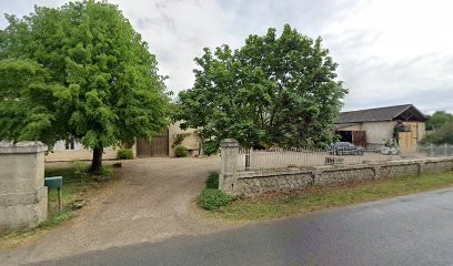 Château Paret Beauséjour, Vignoble à Saint-Genès-de-Castillon