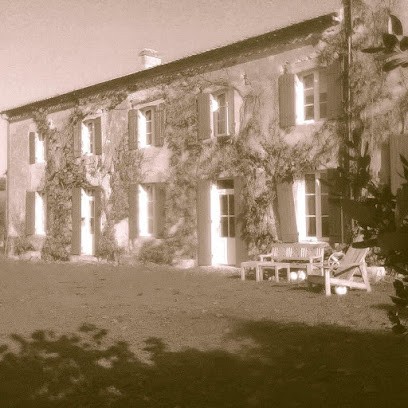 Domaine de Pilhoy, Vignoble à Rions