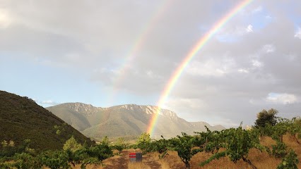Domaine Des Enfants, Vignoble à Saint-Paul-de-Fenouillet