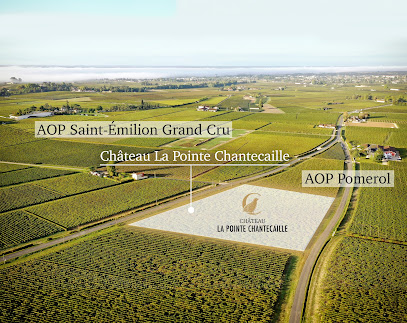 Château La Pointe Chantecaille Vignoble à Saint-Émilion