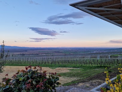 Vins Denis Meyer Et Filles, Vignoble à Voegtlinshoffen