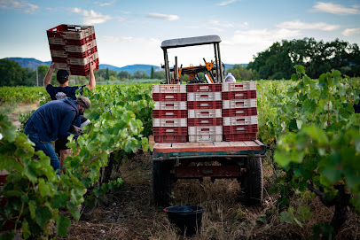 Domaine Félys Vignoble à Carpentras