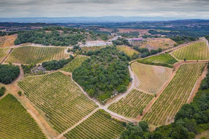 Clos Teisseire, Vignoble à Rouffiac-d'Aude