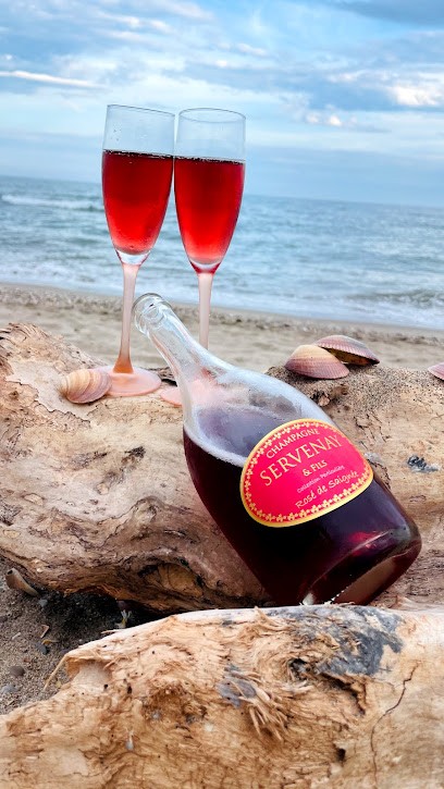 Champagne Servenay Et Fils, Vignoble à Trélou-sur-Marne