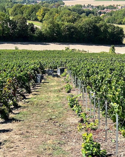 CHAMPAGNE BOEVER A&S, Vignoble à Val de Livre