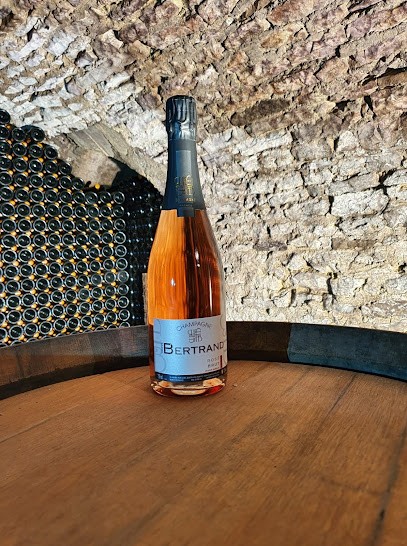 Champagne Guy Bertrand, Vignoble à Voigny