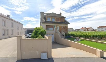 Dauvergne Hubert, Vignoble à Bouzy