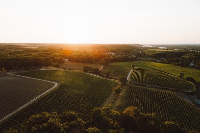 LANGLOIS | Boutique - Dégustation - Visites Des Caves, Vignoble à Saumur