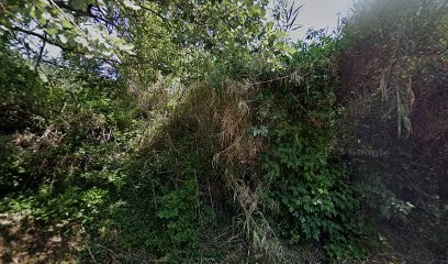 Earl Du Domaine de Barry, Vignoble à Tresques
