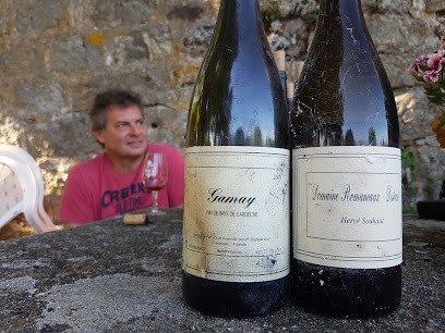 Hervé Souhaut Eurl, Vignoble à Arlebosc
