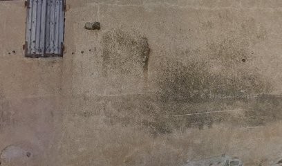 Monneret Michel, Vignoble à Saint-Mard-de-Vaux