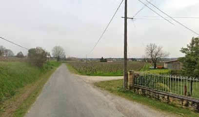 SCEA Des Vignobles Trabut Cussac, Vignoble à Saint-Étienne-de-Lisse