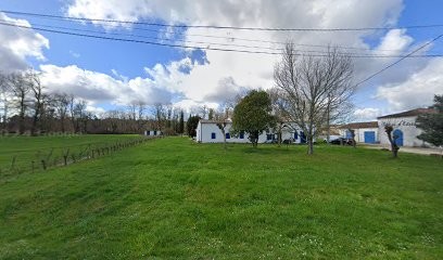 Château D’ESTEAU, Vignoble à Saint-Sauveur