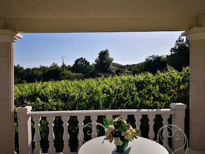 Domaine Mancosu Jérôme, Vignoble à Salaise-sur-Sanne