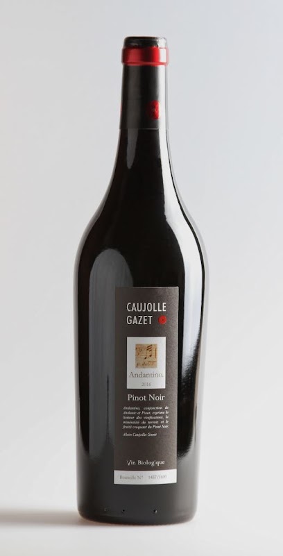 Domaine Caujolle-Gazet Vignoble à la Vacquerie-et-Saint-Martin-de-Castries
